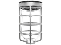 RAB VC100DGS VAPORPROOF 100 Ceiling Silver With Glass Globe | YarinInd