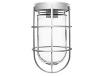 RAB VC100G VAPORPROOF 100 Ceiling With Glass Globe Wire Guard | YarinInd