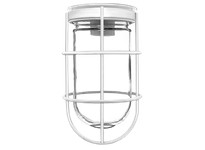 RAB VC100GW VAPORPROOF 100 Ceiling White With Glass Globe Wire Guard