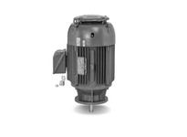 Baldor VLECP84107T-4 48M 2P TEFC VER 284LP IEEE841 32-8 DRIP