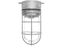 RAB VLX100G VAPORPROOF 100 3 Box 1/2 Hub With Glass Globe Wire Guard | YarinInd