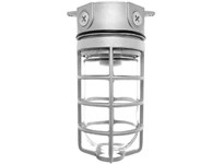 RAB VLX200DG VAPORPROOF 200 3 Box 1/2 Hub With Glass Globe Cast Guard