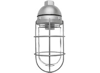 RAB VP1B VAPORPROOF 100 Pendant 1/2 Black Less Globe