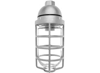 RAB VP200DG-3/4 VAPORPROOF 200 Pendant 3/4 With Glass Globe Cast Guard