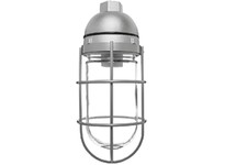 RAB VP200G VAPORPROOF 200 Pendant 1/2 With Glass Globe Wire Guard | YarinInd