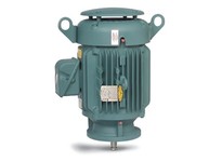BALDOR VPECP4313T 75HP 3555RPM 3PH 60HZ 365VP TEFC | YarinInd