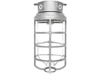 RAB VX200DGB VAPORPROOF 200 Ceiling 4 Box 1/2 Black GL Globe Cast GD | Durable Lighting Solutions