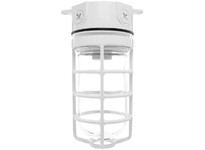 RAB VX200PW Vaporproof 200 Ceiling 4 Box 1/2 with White Perma Globe | Durable Lighting Solutions