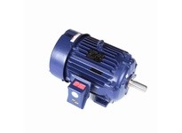 Marathon W550 Model#: 286THFNA19101 HP: 15 RPM: 900 Frame: 286T Enclosure: TEFC Phase: 3 Voltage: 460 HZ: 60This model has 15 ho