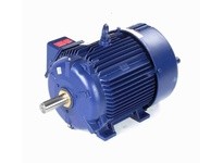 Marathon W551A 256THFCD9001 20 3600 TEFC 256T 3/60/460