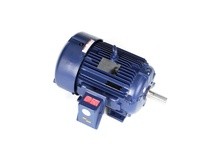 Marathon W553-P 256THFNA19056 20HP 1800RPM 256T Frame | Industrial Motors