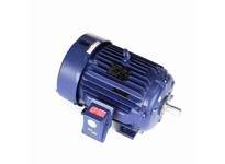 Marathon W565 Model#: 286TSHFNA9001 HP: 30 RPM: 3600 Frame: 286TS Enclosure: TEFC Phase: 3 Voltage: 460 HZ: 60This model has 30 