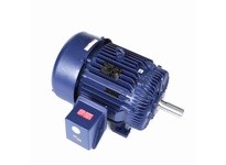 Marathon W569 Model#: 326THFS9076 HP: 30 RPM: 1200 Frame: 326T Enclosure: TEFC Phase: 3 Voltage: 460 HZ: 60This model has 30 hor