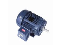 Marathon W576 Model#: 365THFS19101 HP: 40 RPM: 900 Frame: 365T Enclosure: TEFC Phase: 3 Voltage: 460 HZ: 60This model has 40 hor