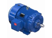 Marathon W587A 364THFCD9036 60 1800 TEFC 364T 3/60/460