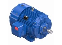 Marathon W600A 405THFCD9036 100 1800 TEFC 405T 3/60/460 | High-Performance Motor