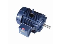 Marathon W609 Model#: 445THFN9102 HP: 125 RPM: 900 Frame: 445T Enclosure: TEFC Phase: 3 Voltage: 460 HZ: 60This model has 125 ho