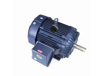 Marathon W642 Model#: 445THFN19034 HP: 200 RPM: 1800 Frame: 445T Enclosure: TEFC Phase: 3 Voltage: 575 HZ: 60This model has 200 