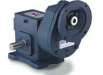 Grove Gear (Leeson) W8525058.00 DXTMQ852-125-R1-180