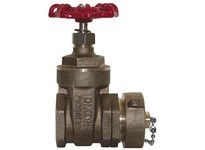 Dixon WDGV150F Non-rising Stem Wedge Disc Gate Valve | Industrial Supplies
