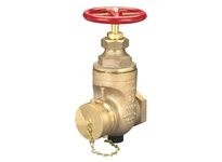 Dixon WDGV250NYFD Non-rising Stem Wedge Disc Gate Valve | Industrial Solutions