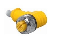 TURCK WK4.5T-4 Cordset | YarinInd