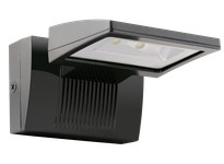 RAB WPLED26/E/PCS2 LBACKUP WPLED 26W Cool LED Emergency Battery | YarinInd