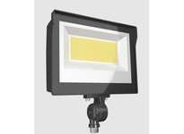 RAB X17FA60 X17 Field Adjustable 60W LED 120-277V 3000K-4000K-5000K Knuckle CU4 Bronze