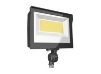 RAB X17FA80 Floodlights - 80W Adjustable CCT | High Lumens