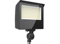 RAB X22-60 X22 FLOOD 60/50/40/30W 3000/4000/5000K 7HX6V KNUCKLE + TRUNNION PHOTOCELL BRONZE