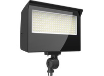 RAB X22-80 X22 FLOOD 80/70/60/50W 3000/4000/5000K 7HX6V/6HX6V/5HX5V W/KNUCKLE + TRUNNION PHOTOCELL BRONZE