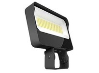 RAB X34XLT 130W/110W/95W TRUNNION BRONZE 3000K/4000K/5000K SELECTABLE