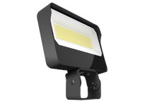 RAB X34XXLT 160W/140W/120W TRUNNION BRONZE 3000K/4000K/5000K SELECTABLE