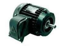 Teco-Westinghouse XP0604C AEHHXG/AEHHXF TEXP Explosion Proof Motor | 60 HP | 1800 RPM | Frame 3
