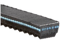 Gates 942011250 XPA1250 Metric-Power V-Belts | High Quality Industrial Belts