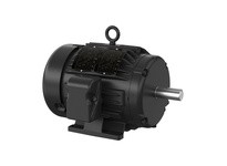 Baldor XT3052T-5 5HP, 3490RPM, 3PH, 60HZ, 184T, 0632M, TEFC, F1