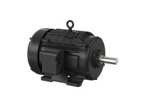 Baldor XT3106T-5 10HP, 1180RPM, 3PH, 60HZ, 256T, TEFC, F1
