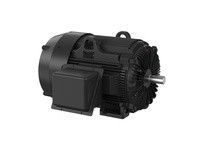 Baldor XT31252TS-5 125HP, 3570RPM, 3PH, 60HZ, 444TS, TEFC, F1