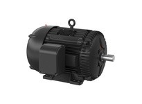 Baldor XT3402TS-5 40HP, 3540RPM, 3PH, 60HZ, 324TS, 1240M, TEFC, F