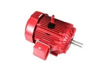 Marathon Y1645 449TTFS14057 300HP 1800RPM 449T Frame | High-Performance Motor