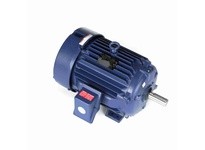 Marathon Y386 Model#: 286TTFNA7260 HP: 25 RPM: 1800 Frame: 286T Enclosure: TEFC Phase: 3 Voltage: 460 HZ: 60This model has 25 ho