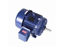 Marathon Y387 Model#: 324TTFS7290 HP: 30 RPM: 1800 Frame: 324T Enclosure: TEFC Phase: 3 Voltage: 460 HZ: 60This model has 30 hor