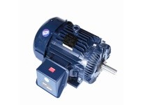 Marathon Y390 Model#: 365TTFS9230 HP: 60 RPM: 1800 Frame: 365T Enclosure: TEFC Phase: 3 Voltage: 460 HZ: 60This model has 60 hor