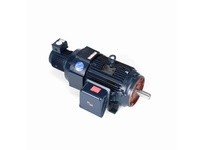 Marathon Y511 Model#: 284THFPA8038 HP: 25 RPM: 1800 Frame: 284TC Enclosure: TEBC-AXIAL Phase: 3 Voltage: 230/460 HZ: 60This mode