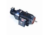 Marathon Y512 Model#: 286THFPA8038 HP: 30 RPM: 1800 Frame: 286TC Enclosure: TEBC-AXIAL Phase: 3 Voltage: 230/460 HZ: 60This mode