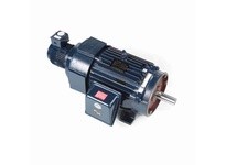 Marathon Y513 Model#: 324THFPA8038 HP: 40 RPM: 1800 Frame: 324TC Enclosure: TEBC-AXIAL Phase: 3 Voltage: 230/460 HZ: 60This mode