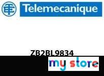 Telemecanique ZB2BL9834