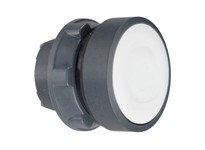 Telemecanique ZB5AW31