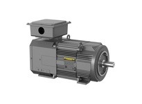 Baldor ZDBRPM25604 60HP 1750RPM 3PH 60HZ 2578 TEBC FOOT