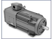 ZDBRPM281004R1 100HP, FL2890, TEBC, 1750RPM, 460V, 3PH, 60HZ,